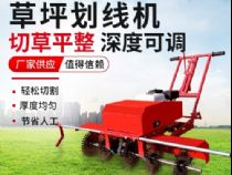 點(diǎn)擊查看詳細(xì)信息<br>標(biāo)題：草皮劃線機(jī) 閱讀次數(shù)：2699